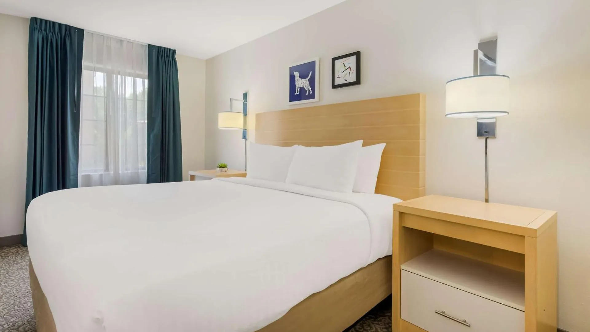 Sonesta Es Suites Charlotte Arrowood Hotel
