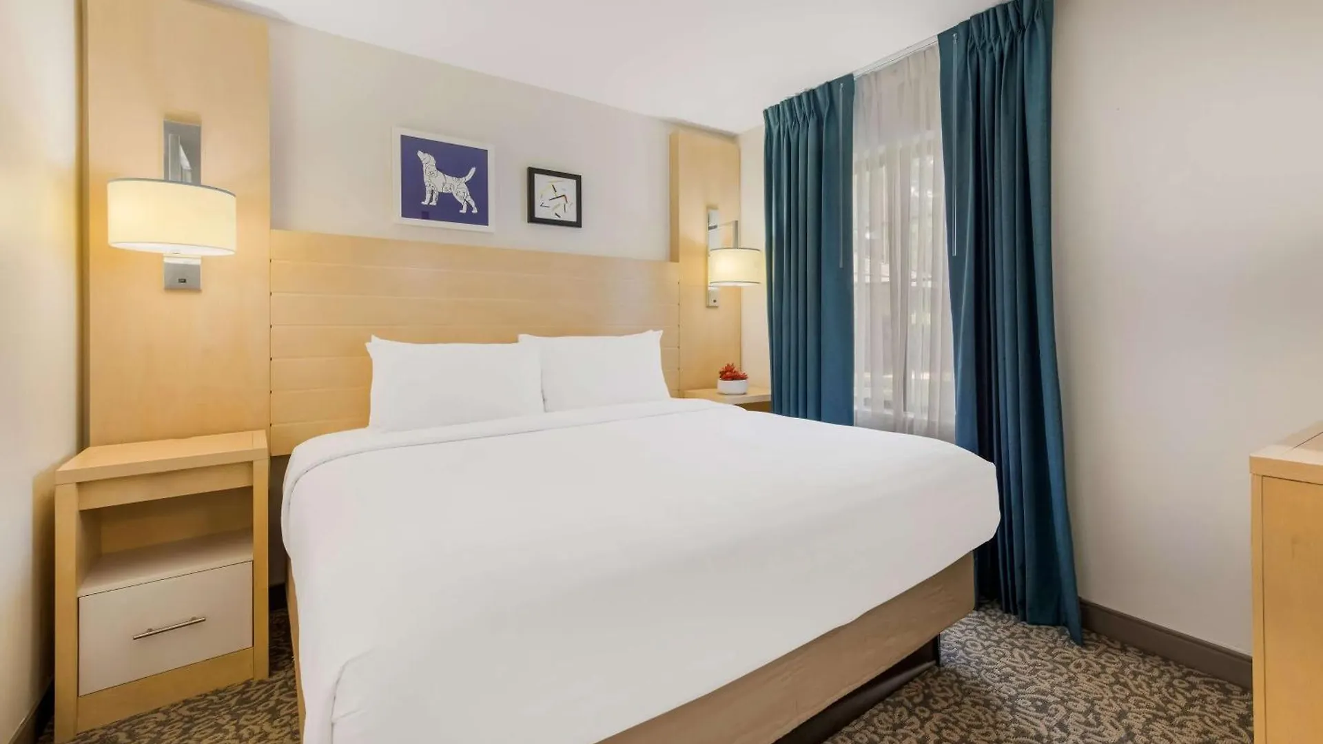 Sonesta Es Suites Charlotte Arrowood 3*,