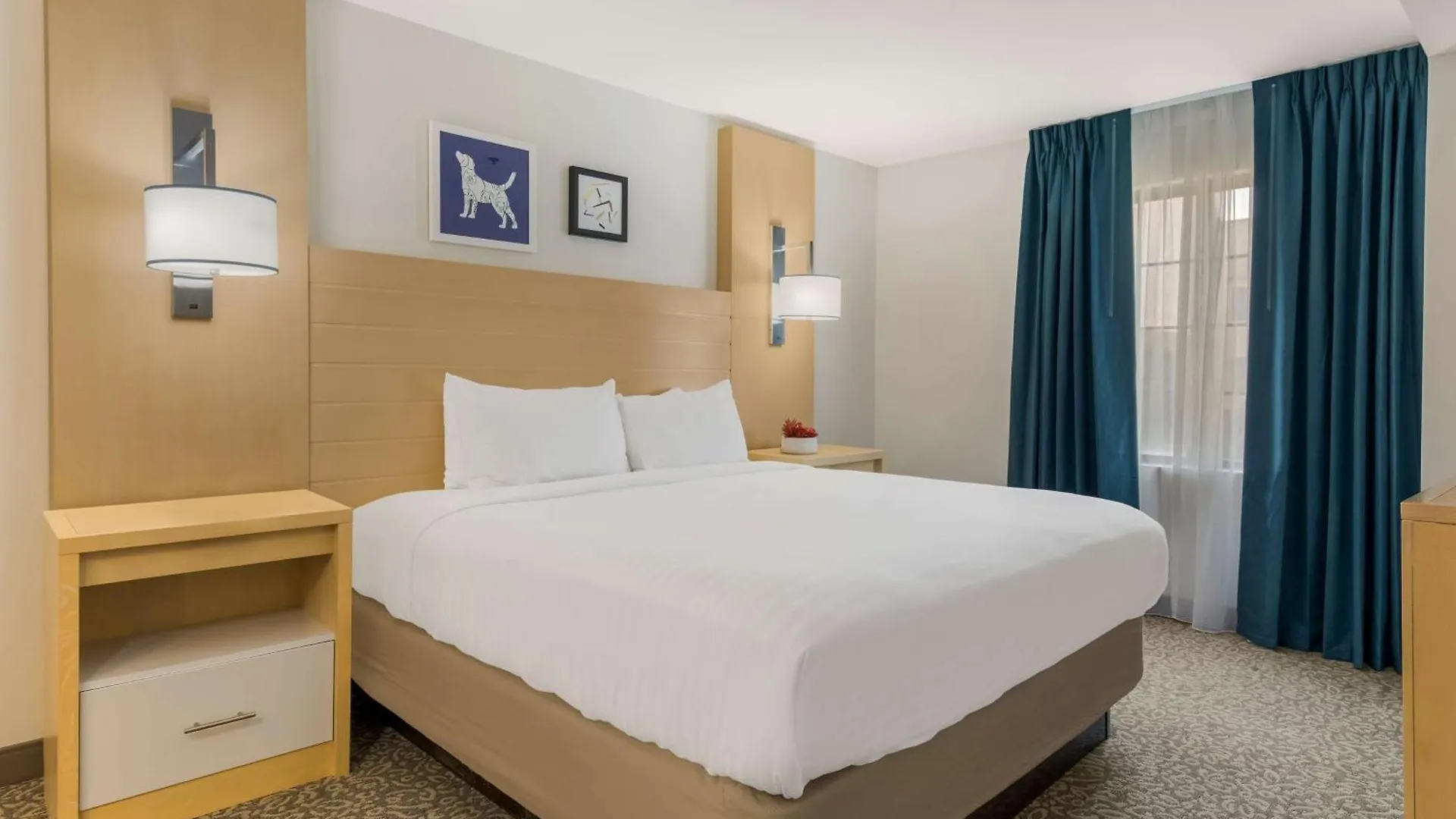 Sonesta Es Suites Charlotte Arrowood