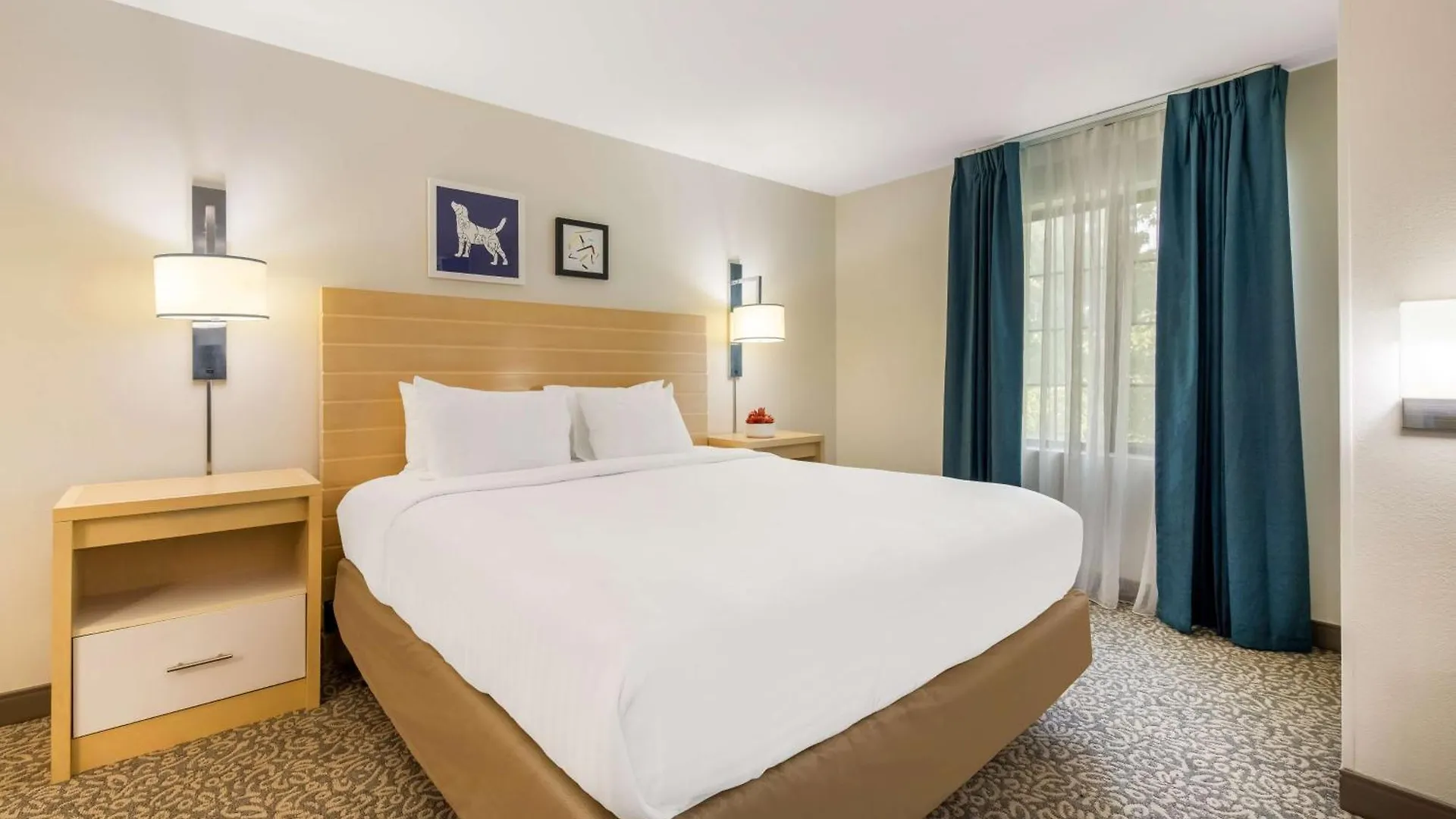 Hotel Sonesta Es Suites Charlotte Arrowood