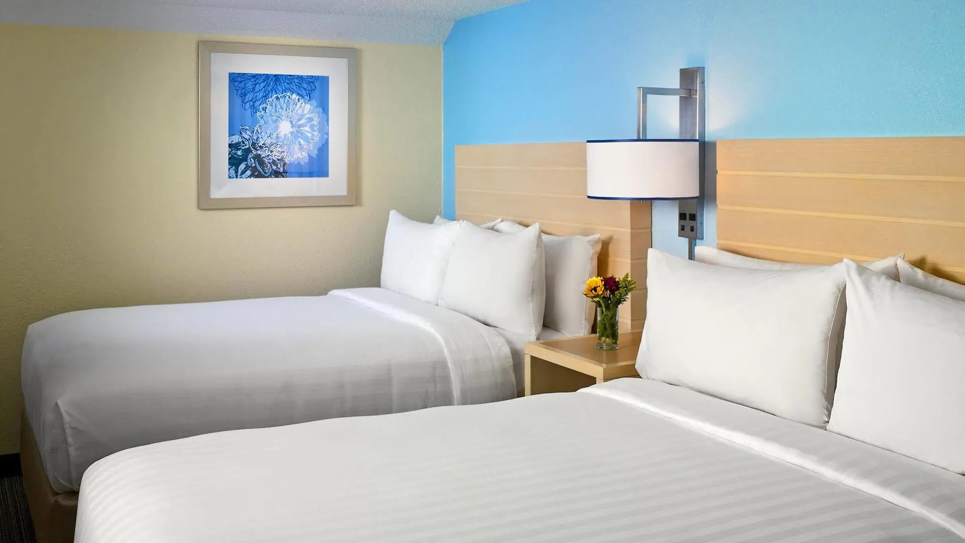 Sonesta Es Suites Charlotte Arrowood